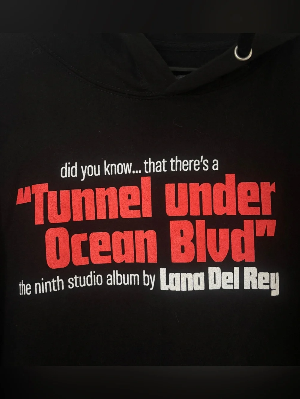 Lana Del Rey Tunnel Hoodie - Large - Picture 2 of 6
